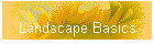 Landscape Basics
